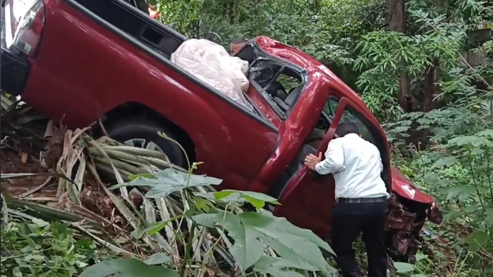 IMÁGENES] Fallece conductor tras dormirse al volante y estrellarse contra  un árbol en El Carmen, La Unión - diariolibresv