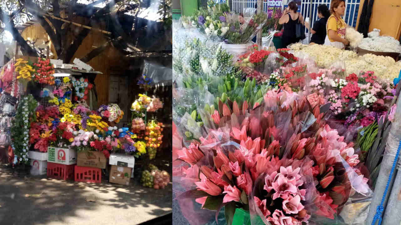 Comerciantes de flores del centro de San Salvador preparados para el 2 de  noviembre - diariolibresv